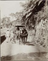 Ceylon, Nuwara Eliya