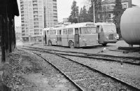 Fribourg, trolley buses