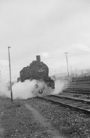 Haltingen, German Railroad (DB) depot, steam locomotive, classes 57, 50