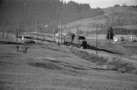 Biberbrugg, SBB/SOB rod locomotive star trip to Einsiedeln, SBB Ae 3/6 II No. 10439 and SBB Ce 6/8 II No. 14253