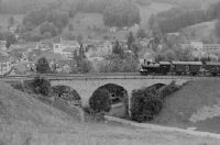 Bauma, Steam Railway Association Zurich Oberland (DVZO)
