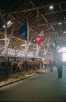 Saignelégier, horse festival Marché-Concours, stable