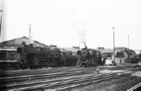 Zittau, DR, steam locomotives 52