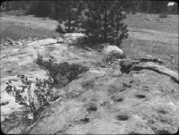 USA, Yosemite National Park, Wawona oak holes for flouring
