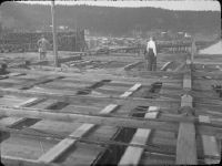 Scandinavia, Kramfors at Angermanälv, timber company, boards sort out