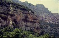 Spain, Montserrat, rock walls, Quercus ilex grove