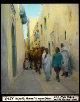 Tripoli, camel [camel] in narrow street