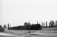Thessaloniki, state railroad, 1'D with freight train