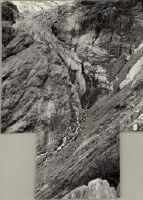 Grindelwald Supérieur, 7.10.1950 p.m., du sentier Milchbach, moraine