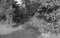 Kleinandelfingen, nameless pond in cricket park
