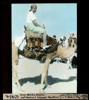 Mrs. Martha Züblin on camel at Mariet restaurant