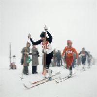 Alpsteinlauf (cross country skiing)