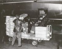 Cargo loading of orchids into a cargo plane of SAS in Zurich-Kloten