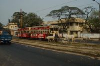 Calcutta, Amirali AV
