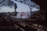 Kanpur, IR depot, steam locomotives WP and G