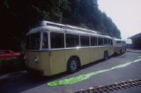 Fribourg, Tram, Trolley, Transports publics fribourgeois