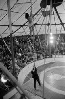 Circus Nock in Solothurn