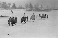 Winter on lake Zurich, Seegfrörni, with camels on the lake